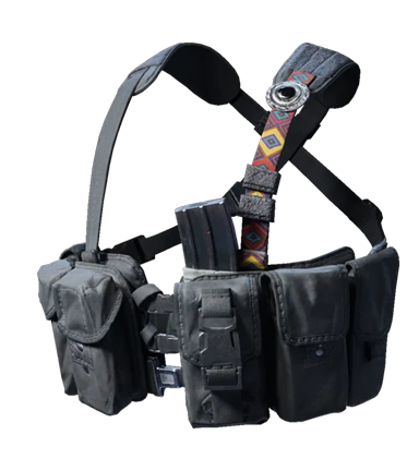 Basic Portable Chest Rig