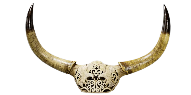 Antler Wall Decoration