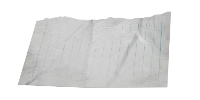 Document Fragment